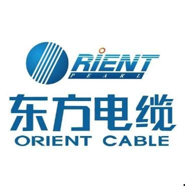 东方电缆最新爆料,揭秘行业新动态与技术创新  第1张